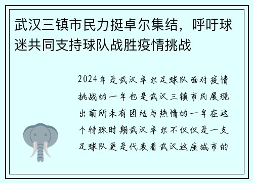 武汉三镇市民力挺卓尔集结，呼吁球迷共同支持球队战胜疫情挑战
