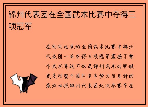 锦州代表团在全国武术比赛中夺得三项冠军