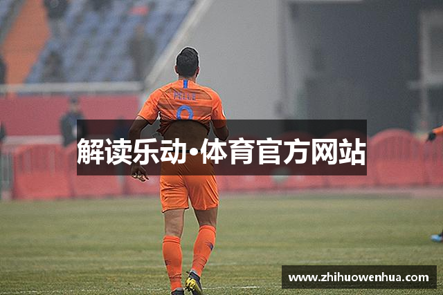 解读乐动·体育官方网站